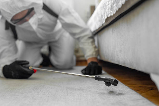 Professional Pest Control technician working in Lenexa, KS
