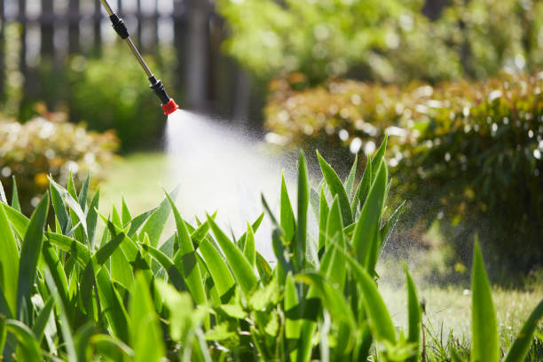 24/7 Emergency Pest Control experts in Lenexa, KS