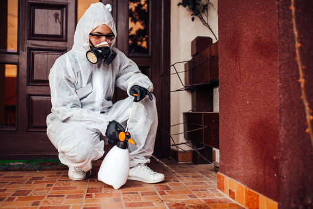 Reliable Pest Control contractor in Lenexa, KS by Nex Pest Control